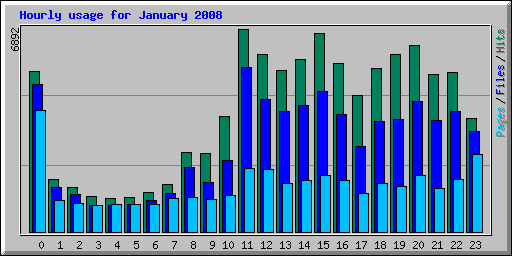 hourly usage for january 2008