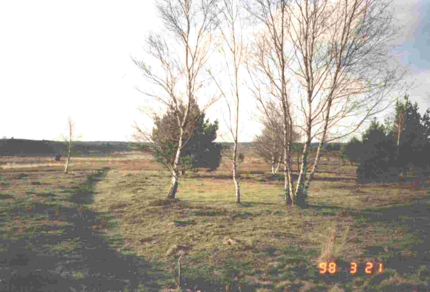 Holle weg: album CorQ Alg 1996: foto 31-2