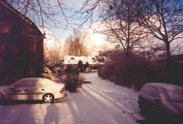 Eikenwal in de sneeuw 1