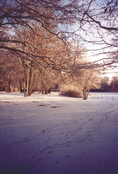 Landgoed ter Horst in de sneeuw